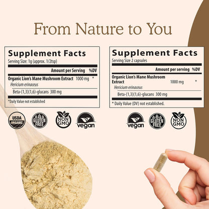 Brain Mushroom Immune Support Supplement – Memory & Focus Formula | Vegan Capsules | 300 Count